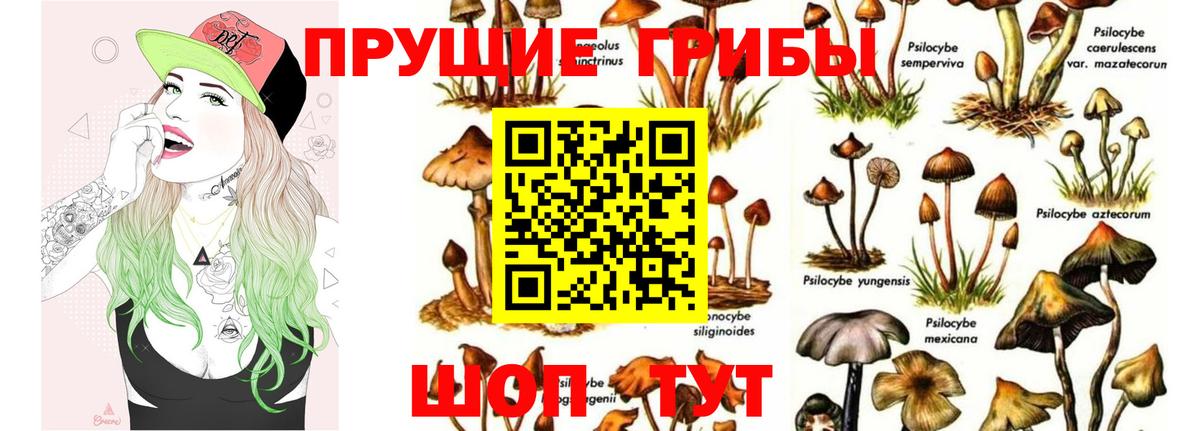 Псилоцибиновые грибы ЛСД  Вход с VPN  Советская Гавань 